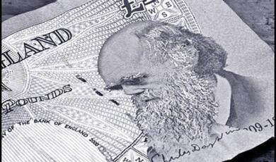 Charles Darwin's picture on the five pound note