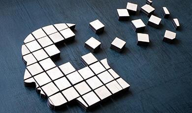 an image of blocks which makes up a human head