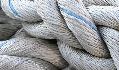 A close-up of a thick, white, coiled rope with a blue stripe