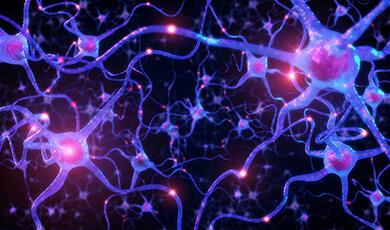 a cgi image of neurons and cells in the brain