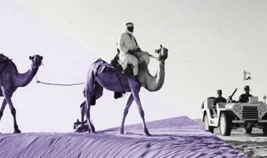 Man riding camel, next to car in desert