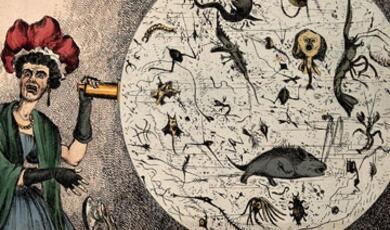 Satirical cartoon of woman looking at germs through microscope