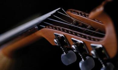 The headstock and neck of a lute