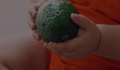 Hand holding avocado