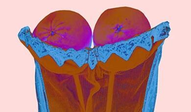 abstract image of two oranges in as corset