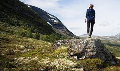 woman standing on rock looking at rugged landscape, wooded plain and mountains