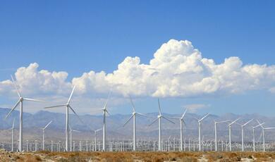 Photograph of large windfarm with mountains behind