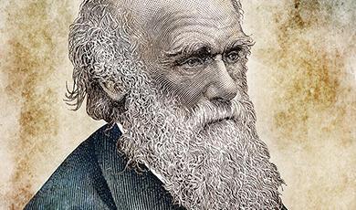 Drawing of Charles Darwin