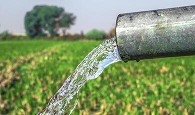 Pipe in field spewing water