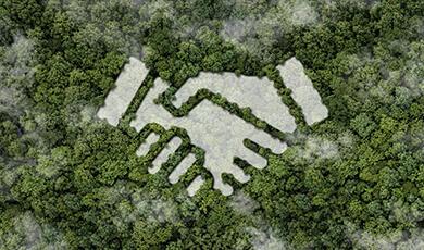 watermark of hands shaking on forest background