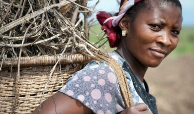 african woman carrying a bag of sticks on her back